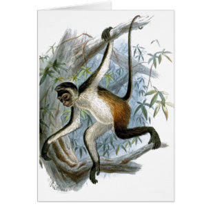 Kinderkarte des Affen CC0366