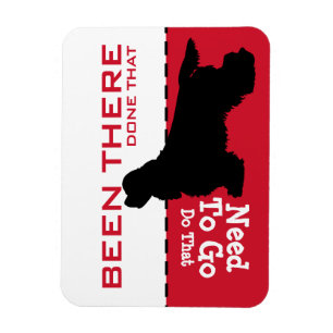 Kinderleichter Magnet König-Charles Cavalier