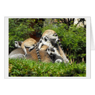 Kinderring-Schwänzchen