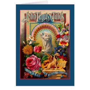 Kinders-seltenes Blumen-Samen-Paket Johns Lewis