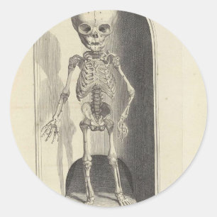 Kinderskelett Runder Aufkleber
