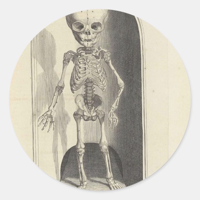 Kinderskelett Runder Aufkleber (Vorderseite)