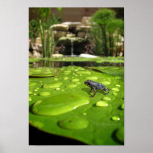 Kindertoilette im Teich Poster