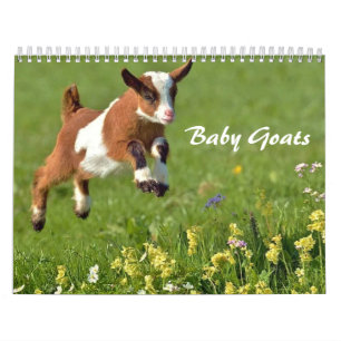 Kinderziegen-Kalender Kalender
