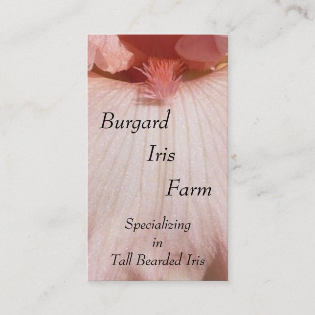 Kinderzimmer-Geschäfts-Karten Visitenkarte (Vorderseite)