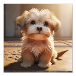 Kinderzimmer- und Kinderzimmerdrucke Fotodruck