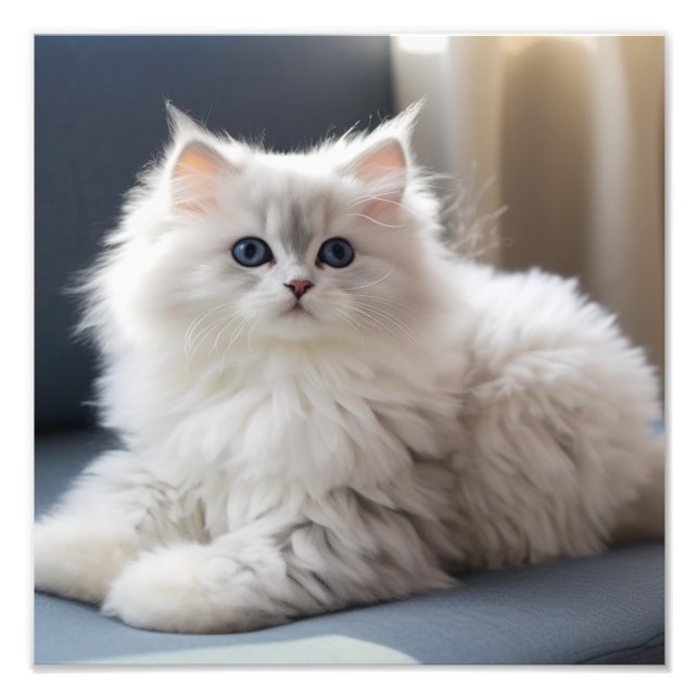 Kinderzimmer- und Kinderzimmerdrucke von Kitten Fotodruck (Vorne)