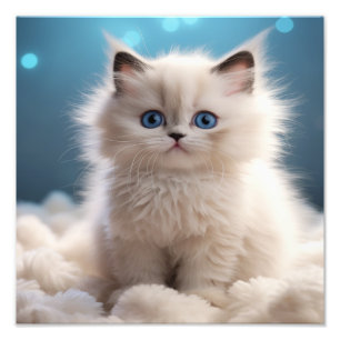 Kinderzimmer- und Kinderzimmerdrucke von Kitten Fotodruck