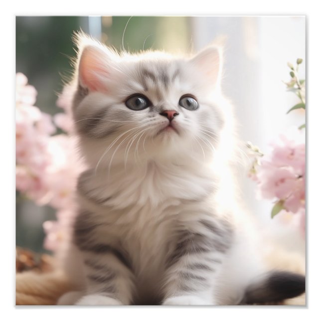 Kinderzimmer- und Kinderzimmerdrucke von Kitten Fotodruck (Vorne)