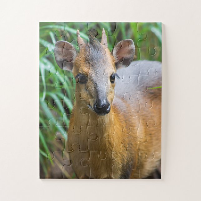 Kinderzoo-Tierpuzzle Puzzle (Vertikal)