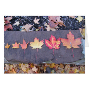 Kindheit ist flüchtig