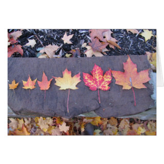 Kindheit ist flüchtig