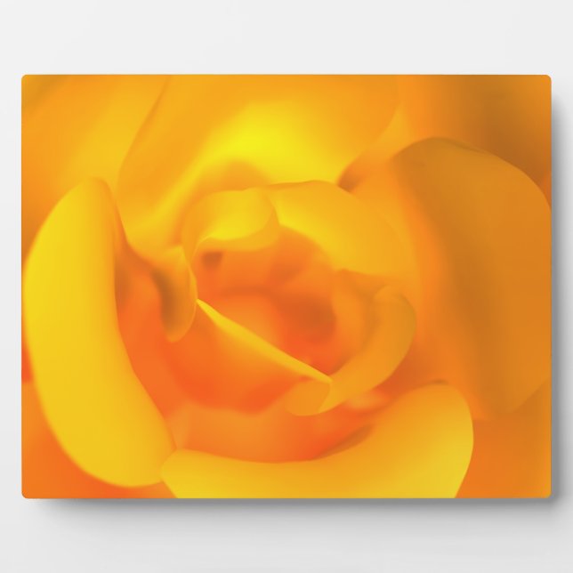 Kindle Rose Foto Plaque Fotoplatte (Vorderseite)