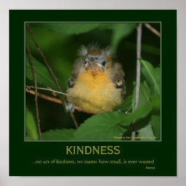 Kindness Inspiration Zitat Baby Oriole Poster