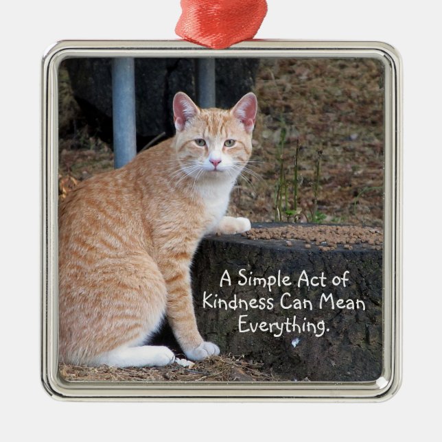 Kindness Orange Tabby Cat Ornament Aus Metall (Vorne)