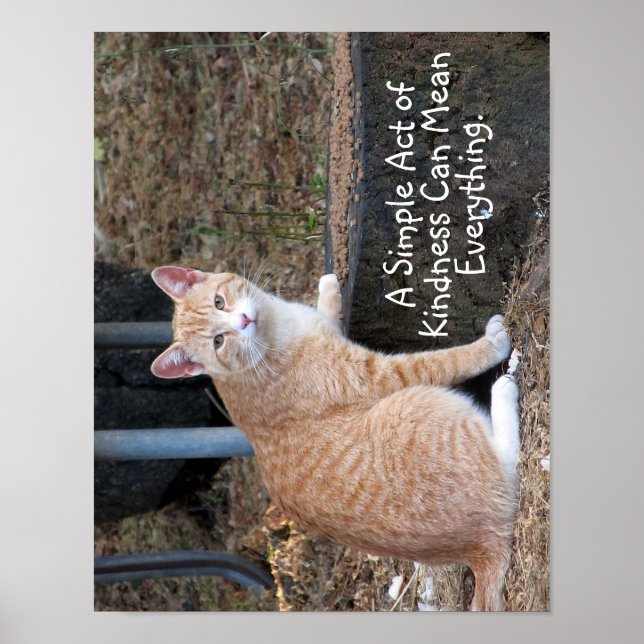 Kindness Orange Tabby Cat Poster (Vorne)