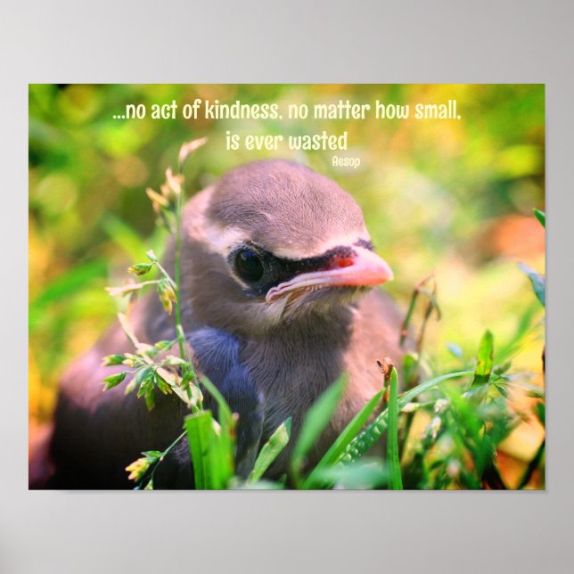 Kindness Quote Baby Bird Inspiration Poster (Vorne)