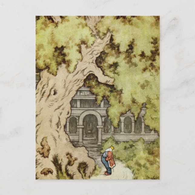 King blickt in den Riesenbaum Postkarte (Vorderseite)