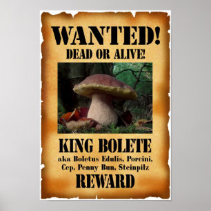 King Bolete - Gewollt Tote oder Lebende Poster