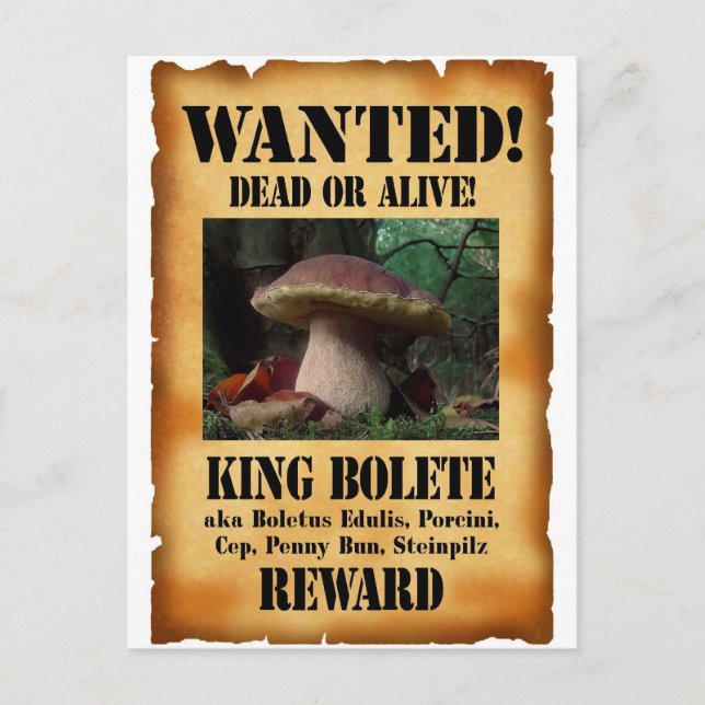 King Bolete - Gewollt Tote oder Lebende Postkarte (Vorderseite)