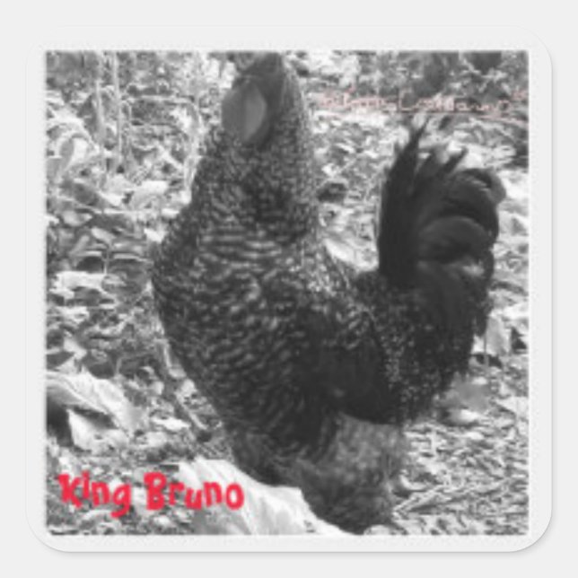 King Bruno Aufkleber (Vorderseite)