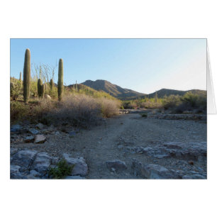 King Canyon Trail I