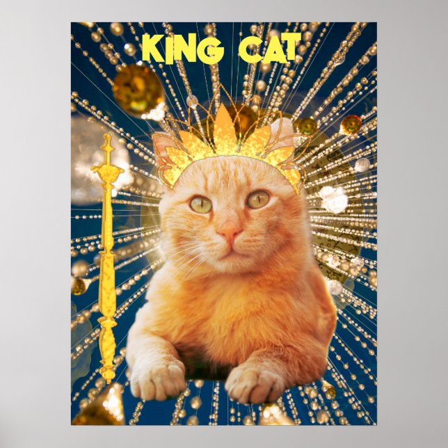 King Cat Funny Poster Pet Vets & Animal Groomer (Vorne)