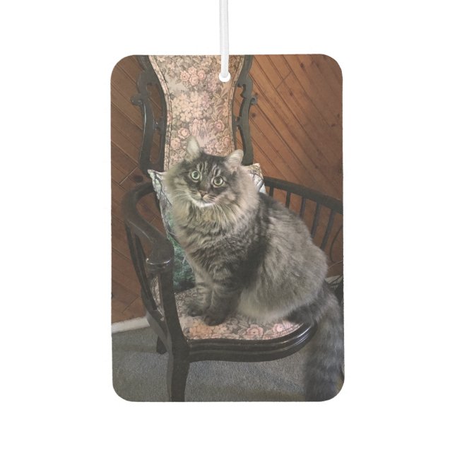 King Cat Kimber Car Air Freshener Autolufterfrischer (Vorderseite)