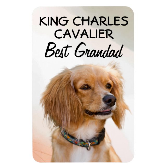 King Charles Cavalier Best Grandad Magnet (Vertikal)