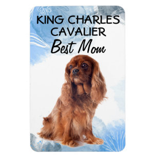 King Charles Cavalier Best Mama Magnet