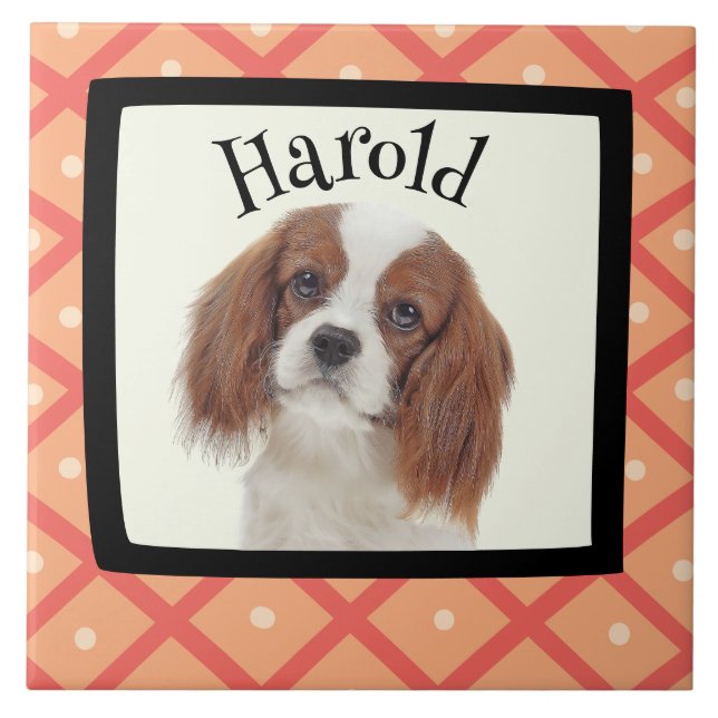 King Charles Cavalier - kundenspezifischer Rahmen  Fliese (Vorderseite)