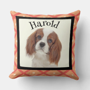 King Charles Cavalier - kundenspezifischer Rahmen  Kissen