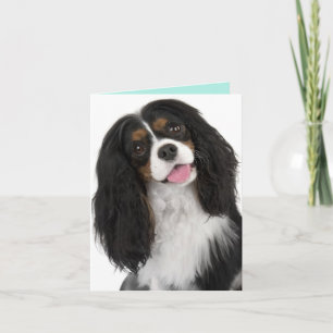 King Charles Cavalier - Note Card Karte