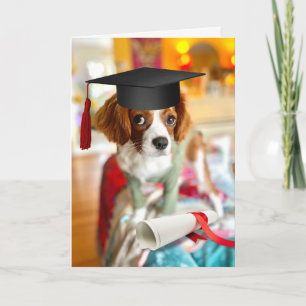 King Charles Cavalier Puppy Blank Grußkarte Karte