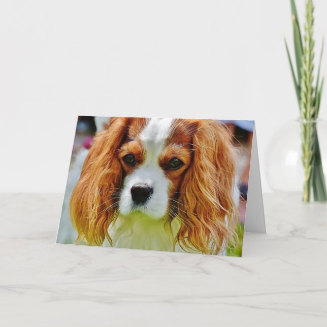 King Charles Cavalier Spaniel Geburtstagskarte Karte (Vorderseite)