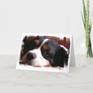 King Charles Cavalier Spaniel Grußkarte Karte