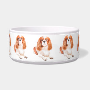 King Charles Cavalier Spaniel Hund Napf