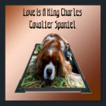 King Charles Cavalier Spaniel, Pop Out Art Poster<br><div class="desc">In einem Popout Art Design ist ein König Charles Cavalier Spaniel,  mit den Worten,  Liebe ist ein Cavalier Spaniel</div>