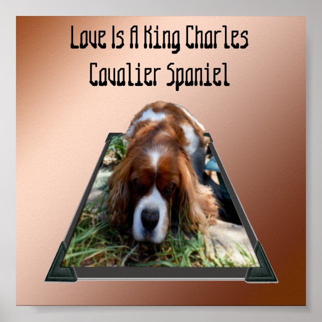 King Charles Cavalier Spaniel, Pop Out Art Poster (Vorne)
