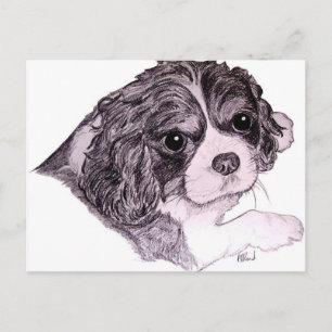 King Charles Cavalier Spaniel Postcard Postkarte