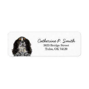 King Charles Cavalier Spaniel Rücksendeadresse