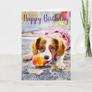 King Charles Cavalier Welpen-Grußkarte Karte