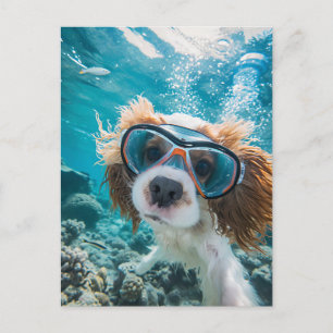 King Charles Cocker Spaniel fährt im Ozean Feiertagspostkarte