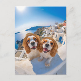 King Charles Cocker Spaniel in Santorini Feiertagspostkarte