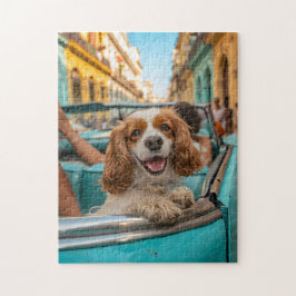King Charles Cocker Spaniel Takes Selfies in Cuba Puzzle