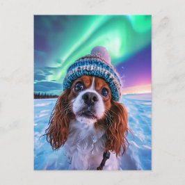 King Charles Cocker Spaniel with northern lights Feiertagspostkarte