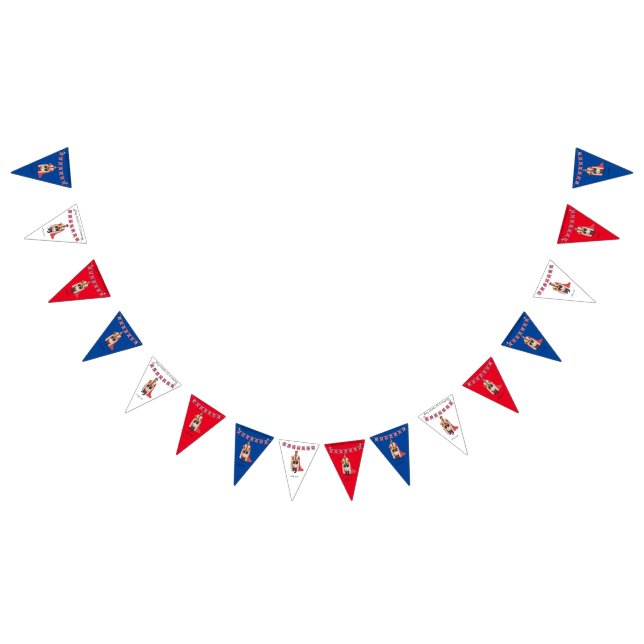 King Charles III Coronation Wimpelkette (Alle)