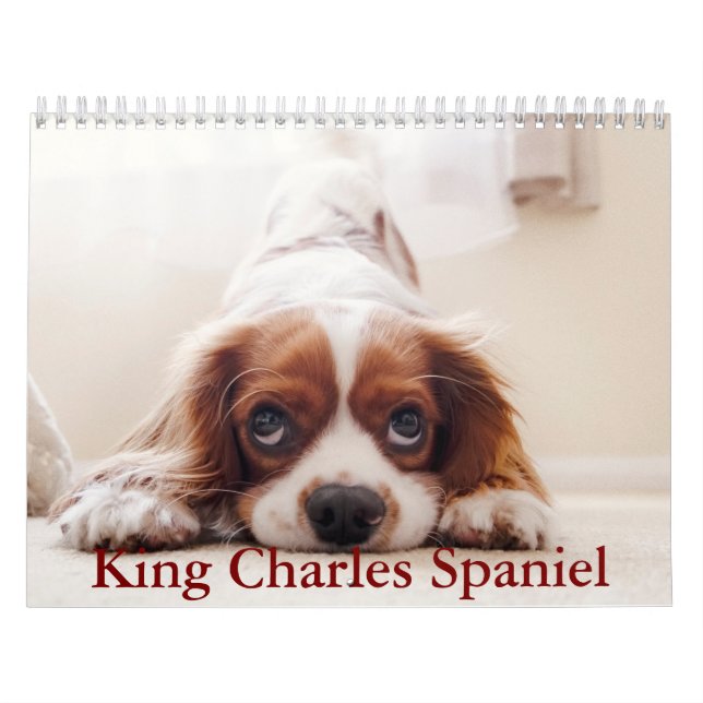 King Charles Spanel Calendar Kalender (Titelbild)