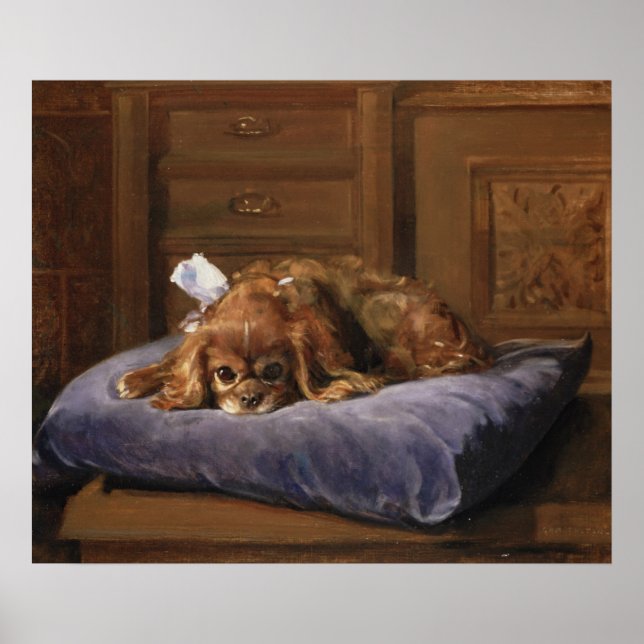 King Charles Spaniel Poster (Vorne)