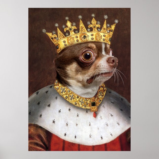 King Chihuahua Poster (Vorne)